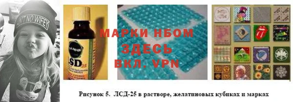 мет Алексин