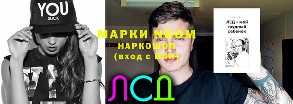 мет Алексин