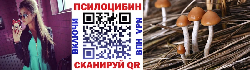 Псилоцибиновые грибы MAGIC MUSHROOMS Анжеро-Судженск